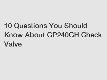 10 Questions You Should Know About GP240GH Check Valve