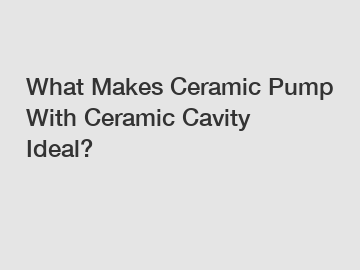 What Makes Ceramic Pump With Ceramic Cavity Ideal?