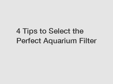 4 Tips to Select the Perfect Aquarium Filter