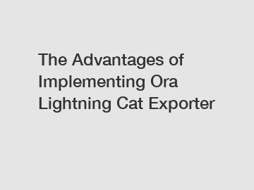 The Advantages of Implementing Ora Lightning Cat Exporter
