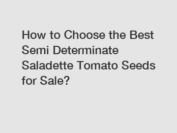 How to Choose the Best Semi Determinate Saladette Tomato Seeds for Sale?