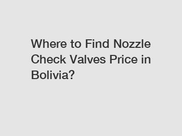 Where to Find Nozzle Check Valves Price in Bolivia?