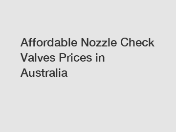 Affordable Nozzle Check Valves Prices in Australia
