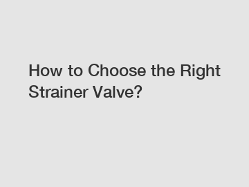 How to Choose the Right Strainer Valve?