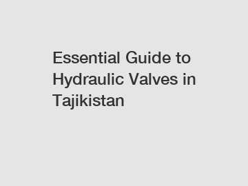 Essential Guide to Hydraulic Valves in Tajikistan