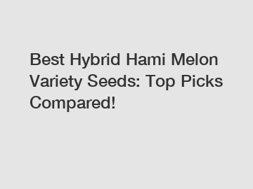 Best Hybrid Hami Melon Variety Seeds: Top Picks Compared!