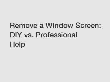 Remove a Window Screen: DIY vs. Professional Help