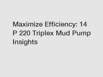 Maximize Efficiency: 14 P 220 Triplex Mud Pump Insights