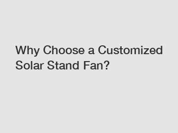 Why Choose a Customized Solar Stand Fan? Why Choose a Customized Solar Stand Fan?