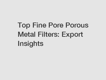 Top Fine Pore Porous Metal Filters: Export Insights