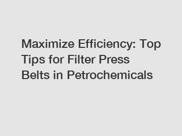 Maximize Efficiency: Top Tips for Filter Press Belts in Petrochemicals