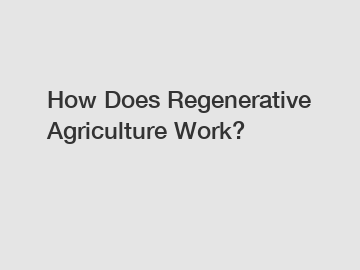 How Does Regenerative Agriculture Work?