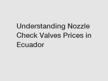 Understanding Nozzle Check Valves Prices in Ecuador