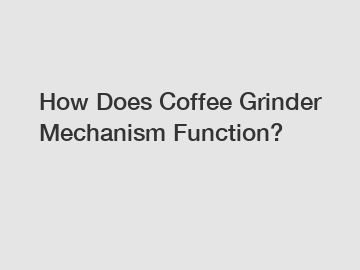 How Does Coffee Grinder Mechanism Function?