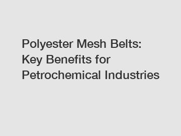 Polyester Mesh Belts: Key Benefits for Petrochemical Industries