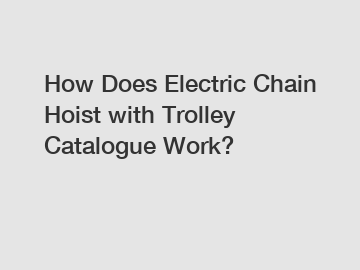 How Does Electric Chain Hoist with Trolley Catalogue Work?