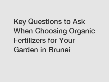 Key Questions to Ask When Choosing Organic Fertilizers for Your Garden in Brunei