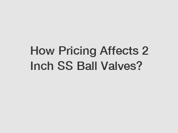 How Pricing Affects 2 Inch SS Ball Valves?