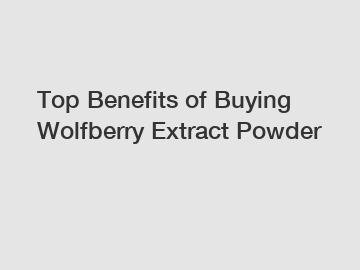 Top Benefits of Buying Wolfberry Extract Powder