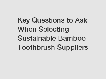 Key Questions to Ask When Selecting Sustainable Bamboo Toothbrush Suppliers