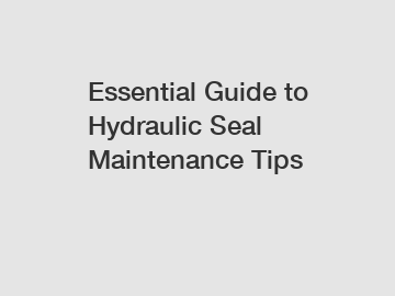 Essential Guide to Hydraulic Seal Maintenance Tips
