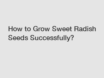 How to Grow Sweet Radish Seeds Successfully?