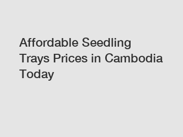 Affordable Seedling Trays Prices in Cambodia Today