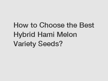 How to Choose the Best Hybrid Hami Melon Variety Seeds?