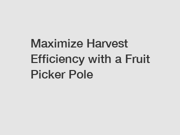 Maximize Harvest Efficiency with a Fruit Picker Pole