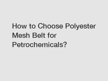 How to Choose Polyester Mesh Belt for Petrochemicals?