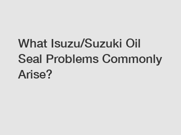 What Isuzu/Suzuki Oil Seal Problems Commonly Arise?