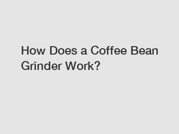 How Does a Coffee Bean Grinder Work?
