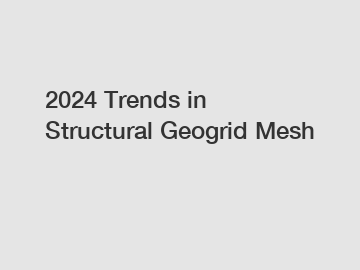 2024 Trends in Structural Geogrid Mesh