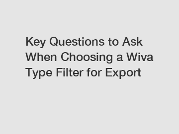 Key Questions to Ask When Choosing a Wiva Type Filter for Export