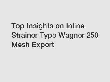 Top Insights on Inline Strainer Type Wagner 250 Mesh Export