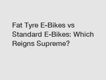 Fat Tyre E-Bikes vs Standard E-Bikes: Which Reigns Supreme?