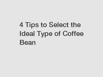 4 Tips to Select the Ideal Type of Coffee Bean