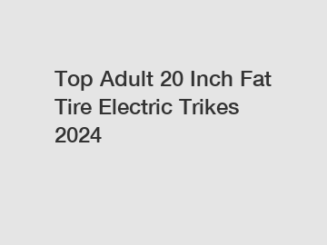 Top Adult 20 Inch Fat Tire Electric Trikes 2024