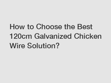 How to Choose the Best 120cm Galvanized Chicken Wire Solution?