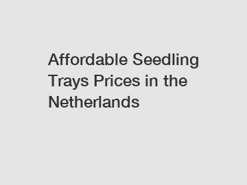 Affordable Seedling Trays Prices in the Netherlands