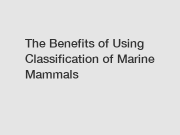 The Benefits of Using Classification of Marine Mammals