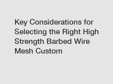 Key Considerations for Selecting the Right High Strength Barbed Wire Mesh Custom