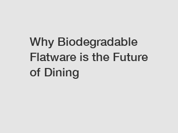 Why Biodegradable Flatware is the Future of Dining