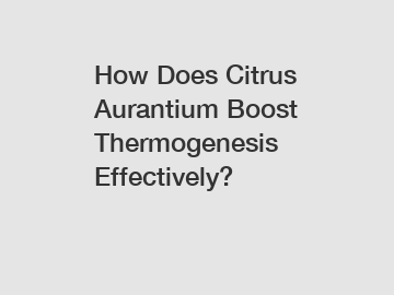 How Does Citrus Aurantium Boost Thermogenesis Effectively?