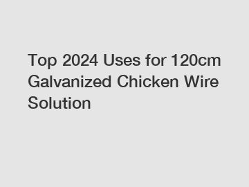 Top 2024 Uses for 120cm Galvanized Chicken Wire Solution