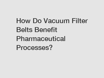 How Do Vacuum Filter Belts Benefit Pharmaceutical Processes?