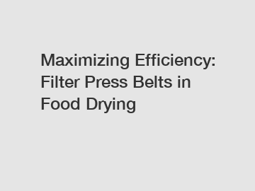 Maximizing Efficiency: Filter Press Belts in Food Drying