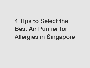 4 Tips to Select the Best Air Purifier for Allergies in Singapore