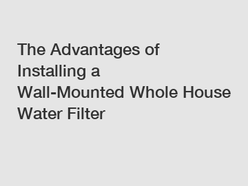 The Advantages of Installing a Wall-Mounted Whole House Water Filter