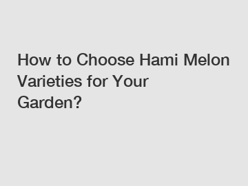How to Choose Hami Melon Varieties for Your Garden?